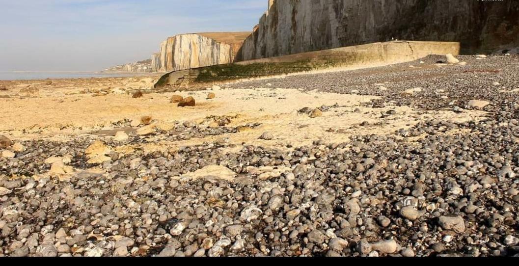 شقة La Parenthese Bois De Cise أولت المظهر الخارجي الصورة